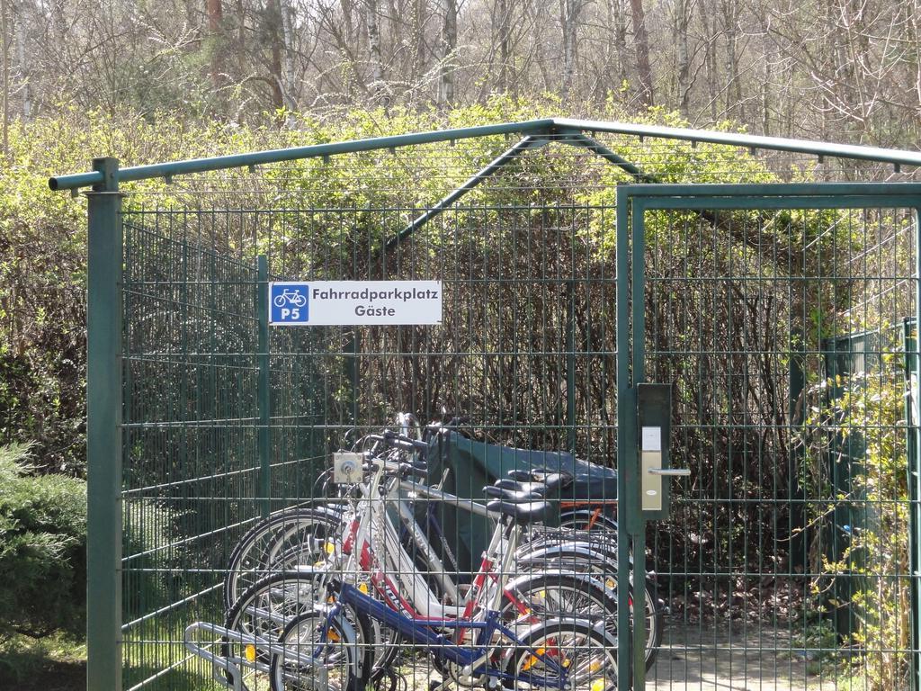 Ferienwohnung Im Duenenpark Binz Room photo